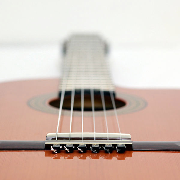 Guitar string tie ebony Strings La Sonanta Flamenco